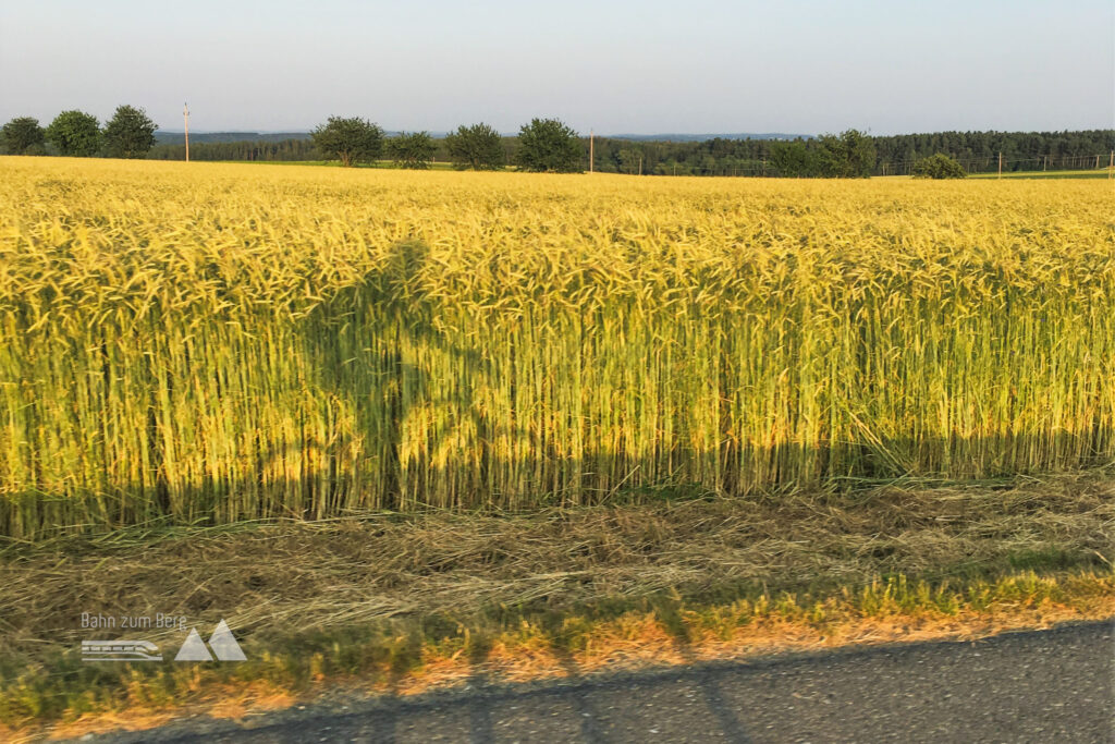 Meinen früheren Arbeitsweg von circa 45 Kilometer je Richtung habe ich zwei Mal komplett mit dem Rennrad zurückgelegt um Autofahrten zu vermeiden, viel öfter waren es nur Teilstrecken. Foto: Alice Frischherz