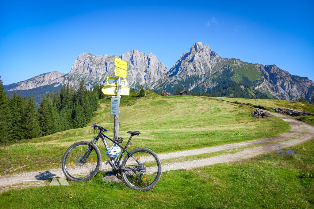 Wechselzone mit Reichensteingruppe im Hintergrund. Foto: Martina Friesenbichler, CC BY 4.0