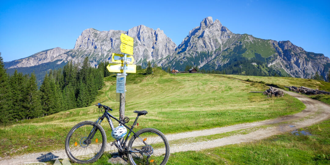 Wechselzone mit Reichensteingruppe im Hintergrund. Foto: Martina Friesenbichler, CC BY 4.0