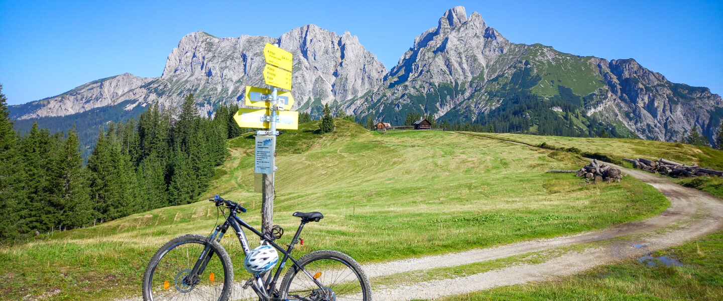 Wechselzone mit Reichensteingruppe im Hintergrund. Foto: Martina Friesenbichler, CC BY 4.0