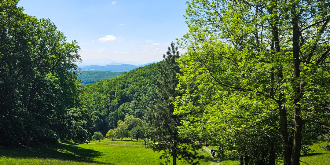 Weg nach Heiligenkreuz Foto DT